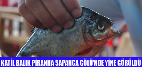 SAPANCA GÖLÜNDE PRANHA YAKALANDI