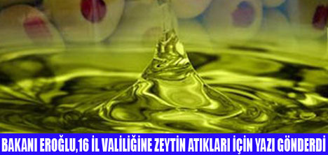 ZEYTİN ÜRETİRKEN ÇEVREYİ KİRLETMEYİN