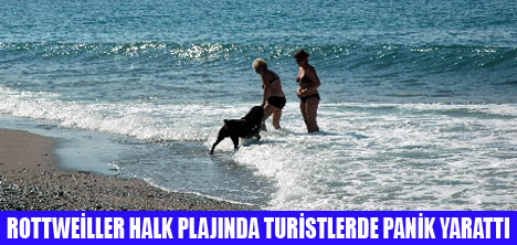 PLAJDA ROTTWEİLLER DEHŞETİ