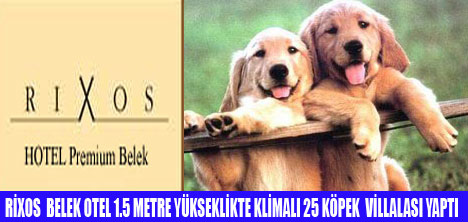 KÖPEKLER İÇİN KLİMALI VİLLALAR