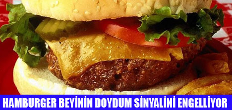 HAMBURGER BEYNİ UYUTUYOR