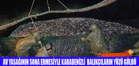 KARADENİZLİ BALIKÇIYI HAMSİ GÜLDÜRDÜ