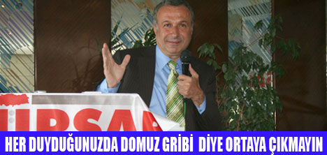 BU İŞTE BİR DOMUZLUK VAR