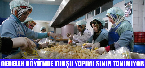 YILDA 50 BİN TON TURŞU