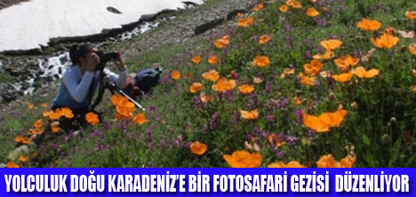 YOLCULUK DERGİSİ İLE FOTOSAFARİ