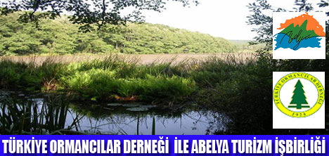 ABELYA TURİZM İLE LONGOZ ORMANLARI