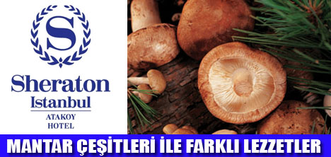 COOKBOOKDA FARKLI LEZZETLER