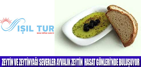 IŞIL TUR İLE ZEYTİN HASAT GÜNLERİ TURU