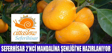 SEFERHİSARDA MANDALİNA ŞENLİĞİ