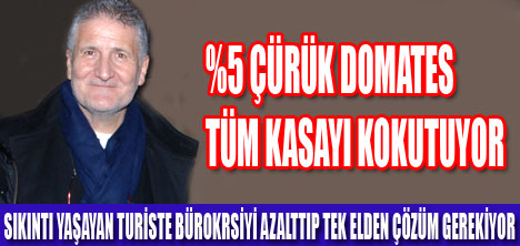 ÇÜRÜK DOMATESLERİ AYIKLAYALIM