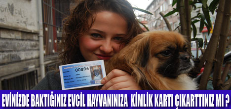 KÖPEĞİNİZİN KİMLİK KARTINI  ALDINIZ MI ?