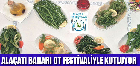 ALAÇATIDA OT FESTİVALİ