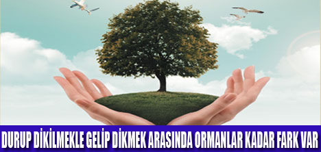 DOĞASEVERLER BİRARAYA GELİYOR