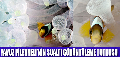 YAVUZ PİLEVNELİ SUALTI FOTOĞRAF SERGİSİ