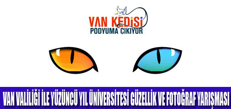 VAN KEDİSİ PODYUMA ÇIKIYOR