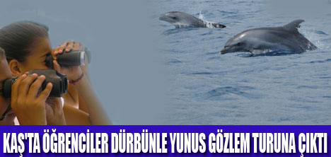 BİLET YERİNE DÜRBÜN ALIN