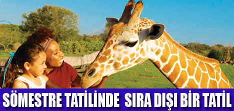 SÖMESTRE TATİLİNDE  ETUR İLE SAFARİ