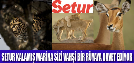 VAHŞİ DOĞA FOTOĞRAF SERGİSİ