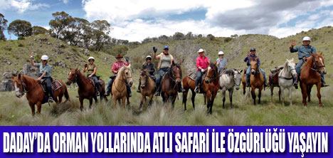 ORMAN YOLLARINDA ATLI SAFARİ YAPIN