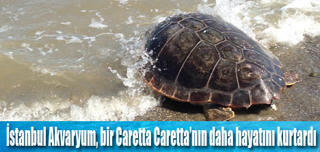 CARETTA CARETTA EVİNE DÖNÜYOR!