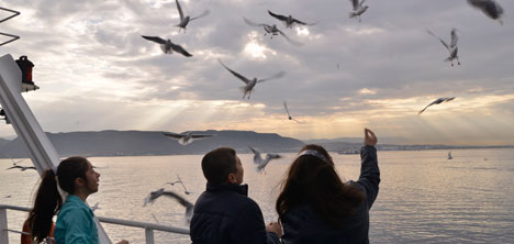 Nakitiniz yoksa “İstanbullines” var