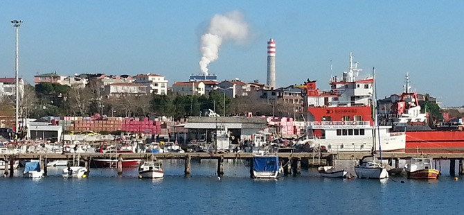 TEMA Vakfı’nın açtığı dava ile Danıştay, Ağan kömürlü termik santral projesinin ÇED olumlu kararını iptal etti