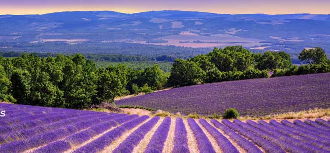 Güney Fransa’nın Provence Köyleri, tatilsepeti ile keşfedilmeye hazır