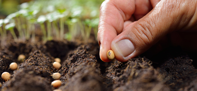 Tohumculuk Sektörü, Uluslararası Growtech Eurasia Tarım Fuarı’nda Buluşuyor