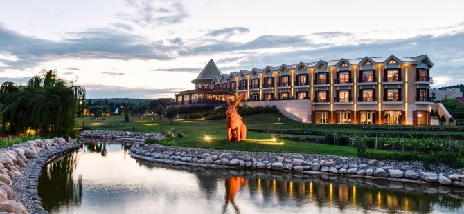 Üzümün Asmadan Kadehe Yolculuğu Hotel Caeli’de!