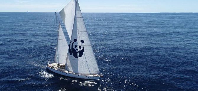 Blue Panda Türkiye’ye Yelken Açtı 