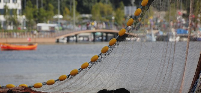 Şile Belediyesi’nden Bir İlk Daha: Şile Palamut Festivali Başlıyor!