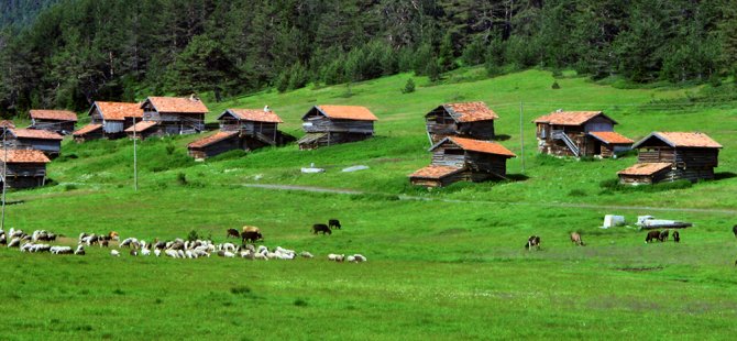 Karadeniz Yaylaları ve Kanyonlarını JOLLY ile Keşfedin