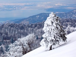 Beyazın büyüsü sizi çağırıyor