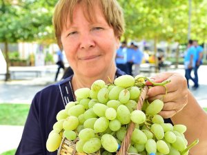 2600 YILLIK GELENEK; URLA BAĞBOZUMU ŞENLİKLERİ 