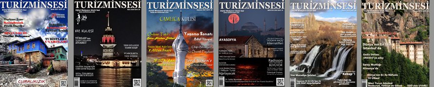 Turizminsesi 2025