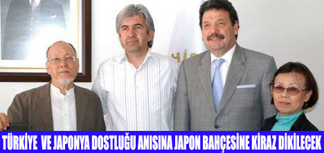 JAPON BAHÇESİNE KİRAZ FİDANI