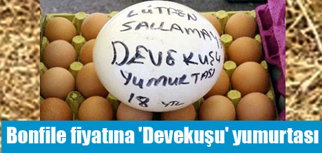 Devekuşu yumurtası Konya'da pazar tezgâhlarında 18 YTL'den satılıyor.