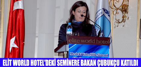 MESLEKİ YETERLİLİK SİSTEMİ ULUSLARARASI SEMİNERİ