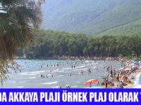 ÇEVREYE ÖRNEK PLAJ OLDULAR