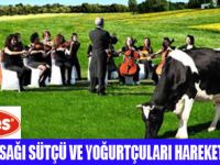 SÜTÇÜ VE YOĞURTÇULAR HAREKETE GEÇTİ