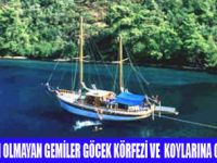 GÖCEK KOYLARINA YENİ KRİTER