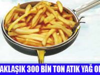 ATIK YAĞDAN 800 MİLYON TL