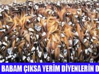 DENİZDE GARİP YARATIK