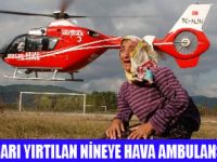 NİNEYE HAVA AMBULANSI YETİŞTİ