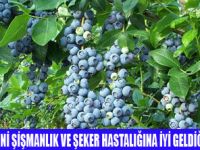 ŞEKER HASTALARINA YABANMERSİNİ