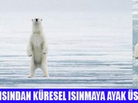 KÜRESEL ISINMAYA AYAKTA EYLEM