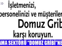 TÜROFEDDEN DOMUZ GRİBİ BİLGİLENDİRME TOPLANTILARI