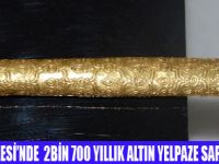 ALTIN YELPAZE SAPI BULUNDU