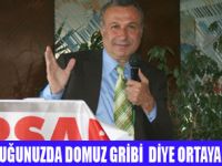 BU İŞTE BİR DOMUZLUK VAR