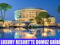 CALISTA LUXURY RESORTTE GRİB EĞİTİMİ